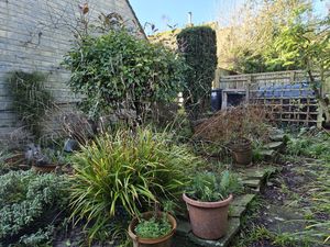 Photo 49- click for photo gallery